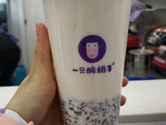 -一只酸奶牛(八一路店)