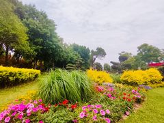 -郑州植物园