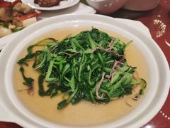 -得丘礼享谷·玉兰苑