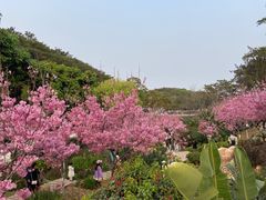 -狐尾山公园