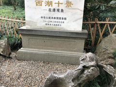 -西湖外事游船(花港观鱼码头)