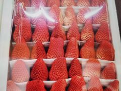 -江杨农产品批发市场