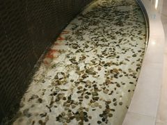 景观水池-天津水游城丽筠酒店