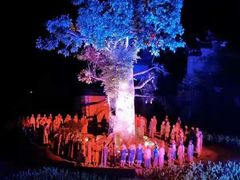 -婺源梦里老家大型山水实景演出