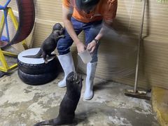 -太平洋海底世界