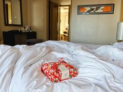 -青岛富力艾美酒店