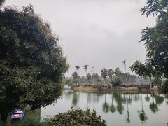 -枫香湖儿童公园