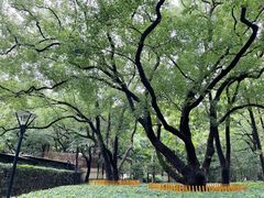 -徐家汇源景区-衡山公园