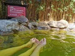 -森波拉火山温泉