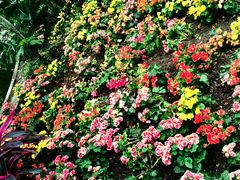 -北京植物园-展览温室