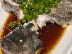 -新吉士·上海菜(浦东LCM置汇旭辉店)