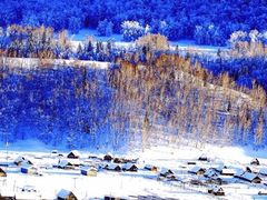 -新疆天山野生动物园