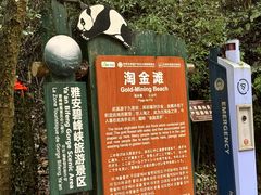 -碧峰峡风景区