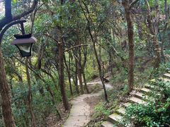 -杭州半山国家森林公园