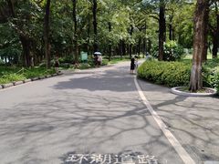-海珠湖公园
