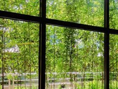 -小西家作(富力爱丁堡店)