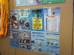 -pd派德宠物中心医院24H急重症·眼科中心·血液透析中心(嵩山北路店)