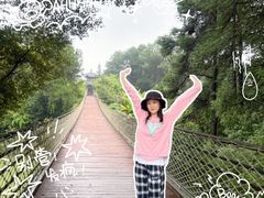 -铁山坪森林公园