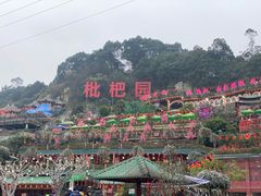 -枇杷园食为鲜火锅(南山店)