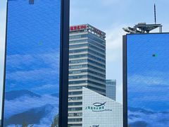 -上海海洋水族馆