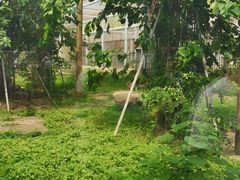 -上方山森林动物世界