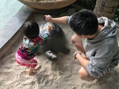 -三亚湾海居铂尔曼度假酒店