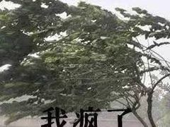 -啊噗吐呦现场烘焙(麦凯乐店)