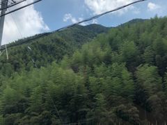 -将军关探险漂流