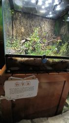 -酷嗒动物文化乐园(cutezoo西溪乐天城店)