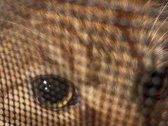 -瑞鹏瑞爱宠物医院·全科·猫科·血液透析中心(龙头寺店)