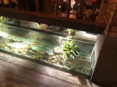 -小龙坎火锅(双林店)
