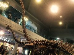 -自贡恐龙博物馆