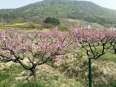 -小格里自然风景区