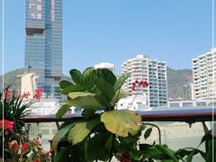 -润园四季椰子鸡火锅(海上世界店)