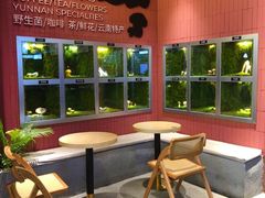 -芸山季·云南野生菌火锅(宝能环球汇店)