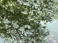 -白塘生态植物园