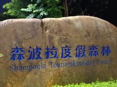 -佛冈森波拉度假区