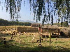 -长兴太湖图影湿地文化园