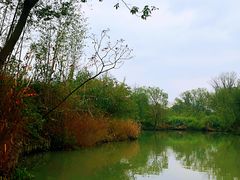 -西溪国家湿地公园