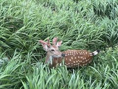 -萍乡武功山风景名胜区