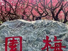 景点-上海海湾国家森林公园