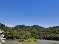 -广州白江湖森林公园