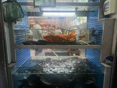 -全乐鱼馆·淳牌有机鱼直营店