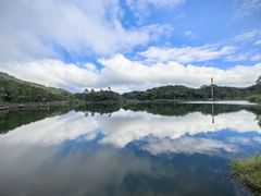 -海南热带雨林国家公园吊罗山景区