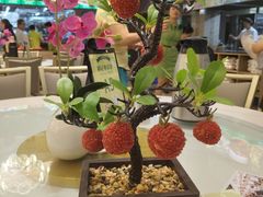 -椿记烧鹅(叠彩店)