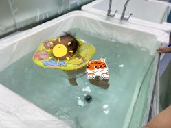 -熊小米专业儿童游泳馆