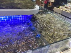 -大众海鲜(巨龙北路店)