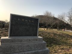 -洛阳古墓博物馆