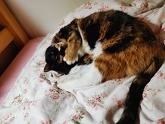 -吉野家(567漫天地店)