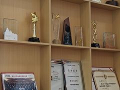 -天猫养车贴膜轻改·蓝电(优匹康桥东路店)